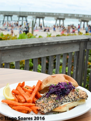  Seasoned, grilled chicken sandwich on a toasted bun, accompanied by crispy sweet potato fries- displayed on a round white plate. The background is a beach pier on a sunny summer day in Florida. Photographed by Tiago with the Shots.